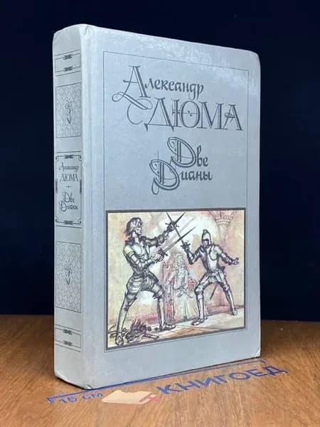 Две Дианы — исторический роман