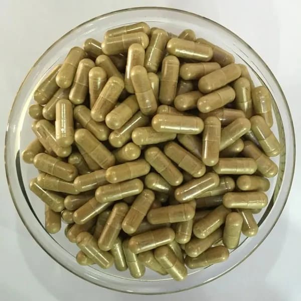 Экстракт дикого ямса порошок 10: 1 50g