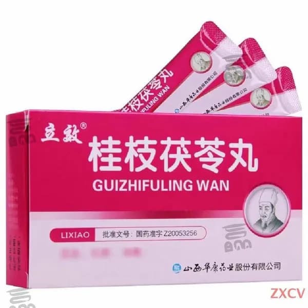 Пилюли "Гуй Чжи Фу Лин Вань" (Gui Zhi Fu Ling Wan) 6 пакетиков по 4 гр