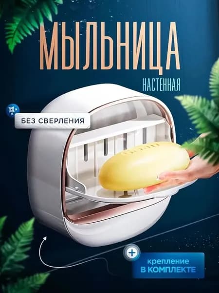 Мыльница