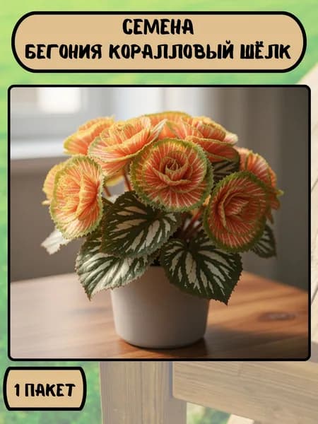 Бегония Коралловый Шёлк, семена 10 шт