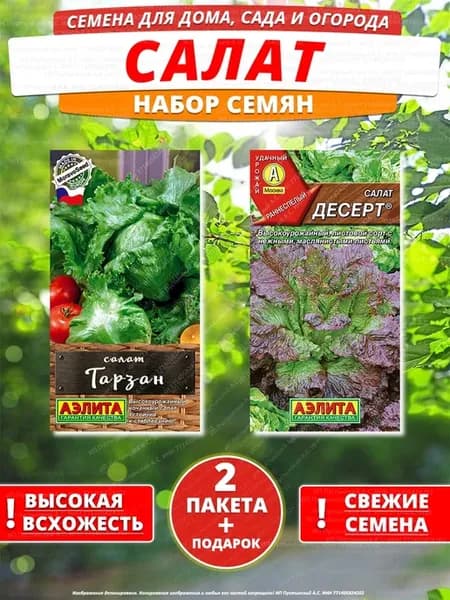 Семена салат для дома сада посадки