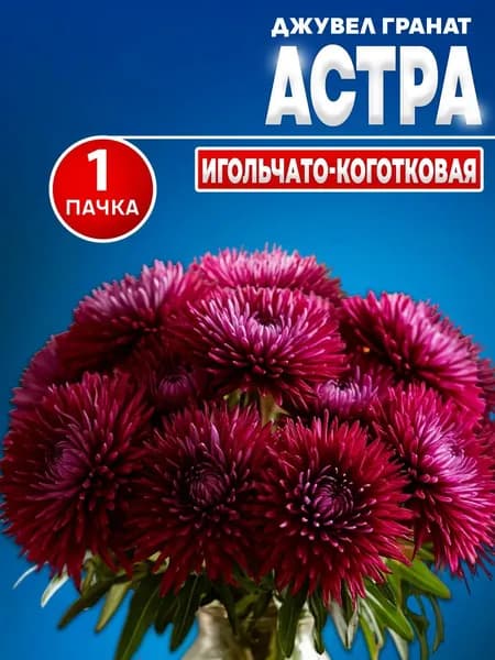 Семена цветов Астра Гранат