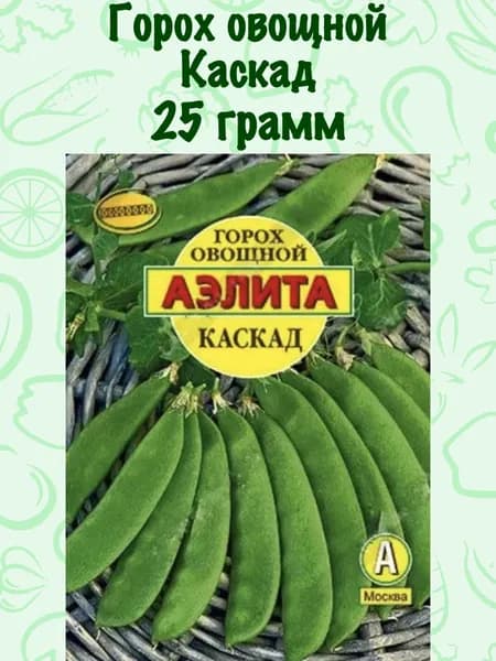 Семена Горох Каскад (25г) БОЛЬШАЯ УПАКОВКА - Агрофирма Аэлита