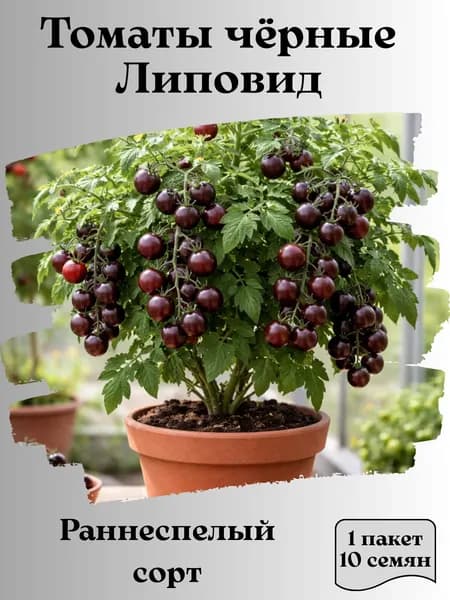 Томаты чёрные Липовид, семена, 10 шт.