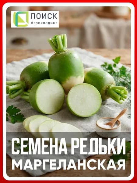 Семена Редька китайская "Маргеланская", 2 гр, для дома, дачи и огорода, в открытый грунт, редька из семян.