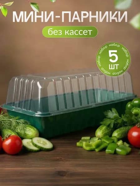 Мини парник для рассады с крышкой