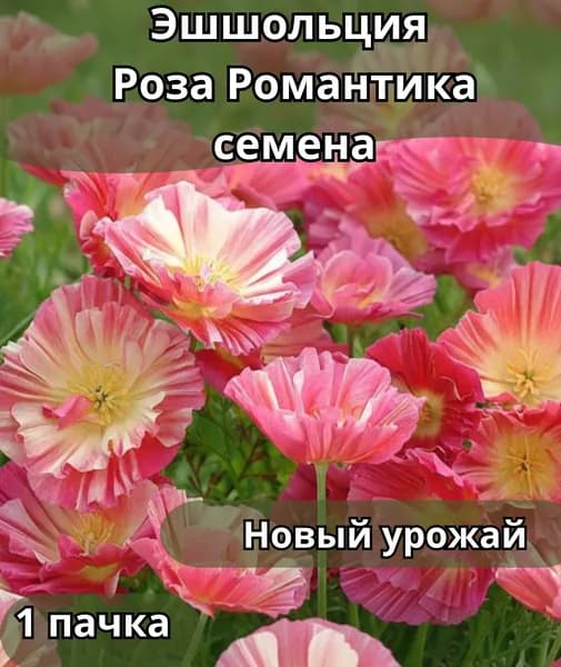 Эшшольция Роза Романтика, семена 10шт