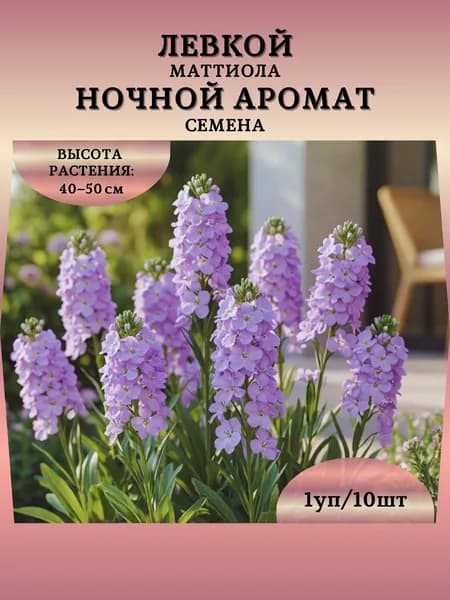 Левкой (Маттиола) "Ночной Аромат" семена, 1 пачка