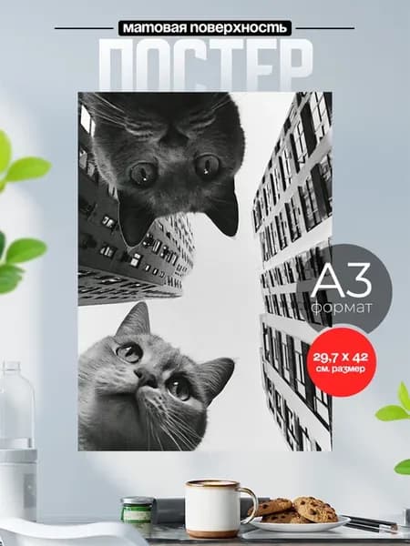 Постер на стену мемы Коты А3