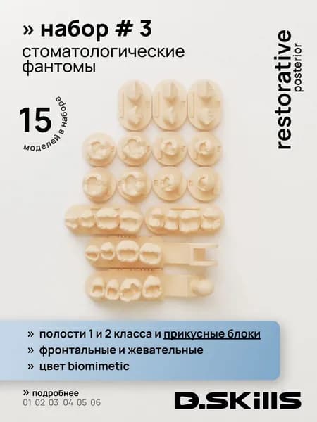 SET #3 Модели зубов для реставрации + прикусные блоки