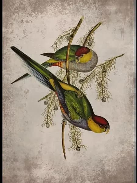 Печать на холсте "Птицы" Желтый, Yellow, 50x70cm No Frame