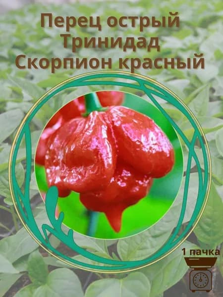 Перец "Тринидад Моруга Скорпион" 10 шт семян