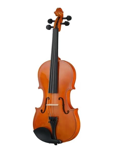 Скрипка 4/4 Foix ученическая
