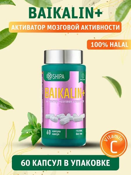 Baicalin SHIPA, глицин + гинкго билоба, для памяти и концентрации, 60 капсул