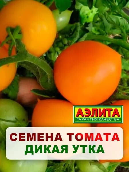 Семена томат "Дикая утка", 20 шт, для дома, дачи и огорода, томат из семян, для теплицы и открытого грунта