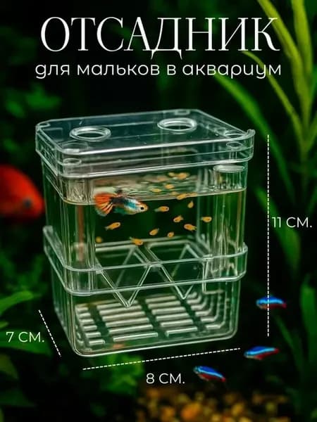 Отсадник для рыб аквариума, размножение бойцовых