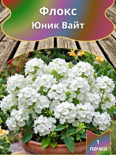 Флокс Юник Вайт , семена 10 шт.