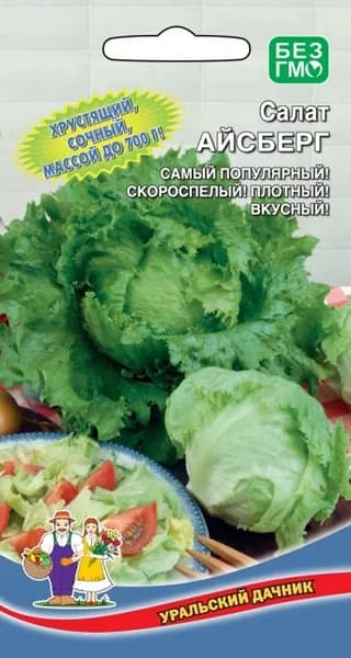 Салат АЙСБЕРГ Уральский дачник, крупнокочанный, скороспелый сорт