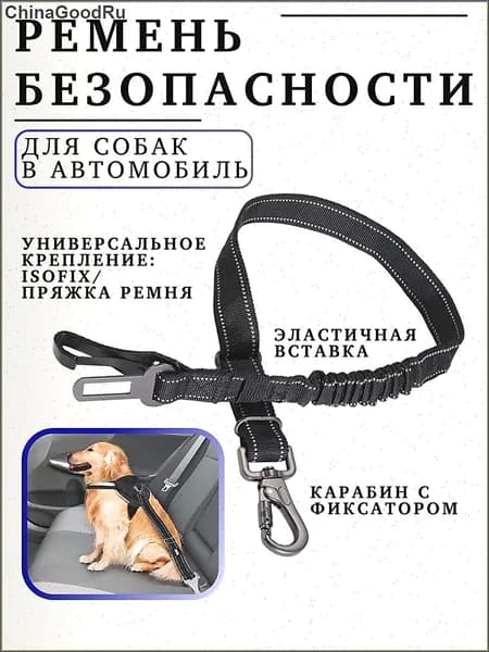 Ремень безопасности для собак