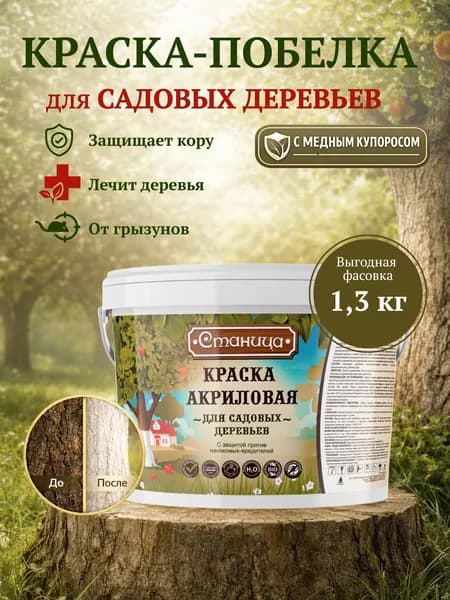 Краска-побелка для садовых деревьев 1.3 кг Станица