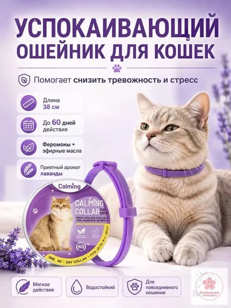 Ошейник успокаивающий для кошек с феромонами и эфирными маслами фиолетовый 38 см
