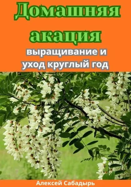 Домашняя акация: выращивание и уход круглый год | Сабадырь Алексей | Электронная книга