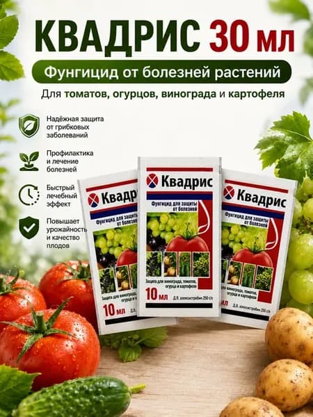 Квадрис фунгицид от фитофторы для растений