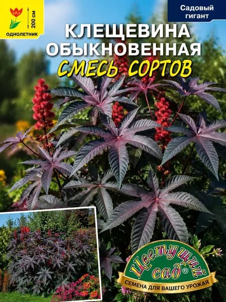 Клещевина обыкновенная СМЕСЬ СОРТОВ декоративные листья (Семена Цветущий Сад, 1,5 г семян в упаковке)