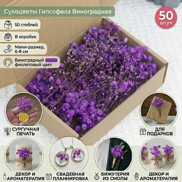 Сухоцветы, 8 см, 50 шт