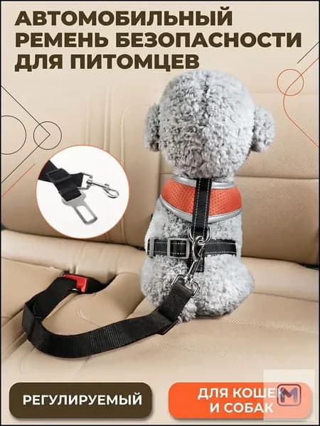 Ремень безопасности для собак в машину
