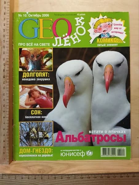GEOлёнок №10, Октябрь 2006. Альбатросы