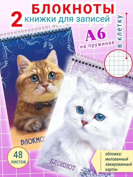Блокнот в клетку А6 Котик на пружине для девочек, 2 шт.