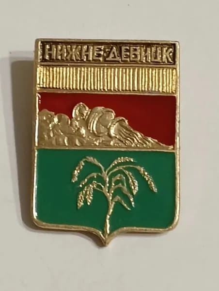 Значок СССР герб города Нижнедевицк