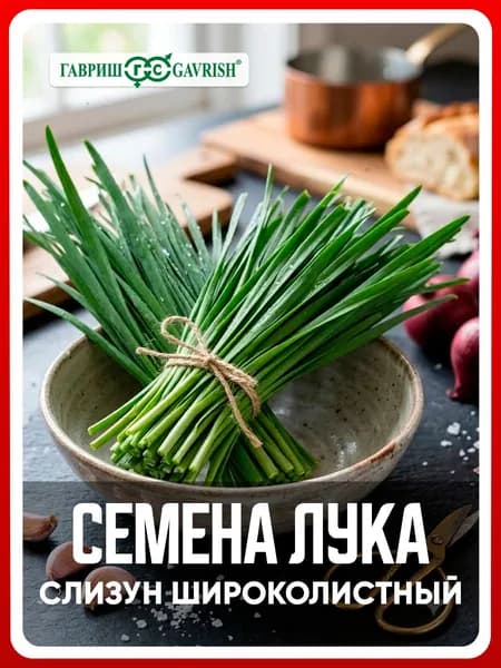 Семена Лук слизун "Широколистный" 0,5 гр, зелень для дома, дачи и огорода, в открытый грунт, в контейнер, на балкон, на подоконник.