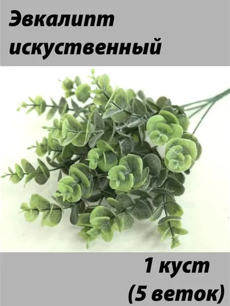 Куст Эвкалипта 1 шт