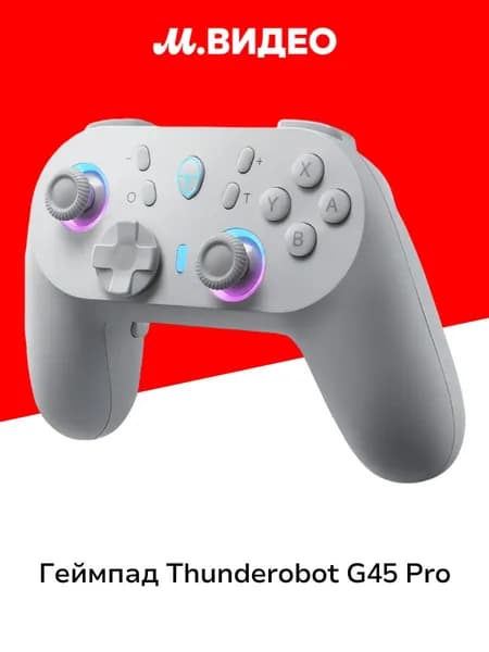 Геймпад Thunderobot G45 Pro (беспроводной) (JT00FX000RU)