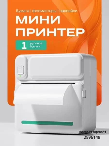 Мини-принтер термо, Монохромный