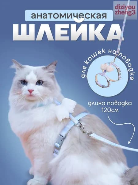 Шлейка