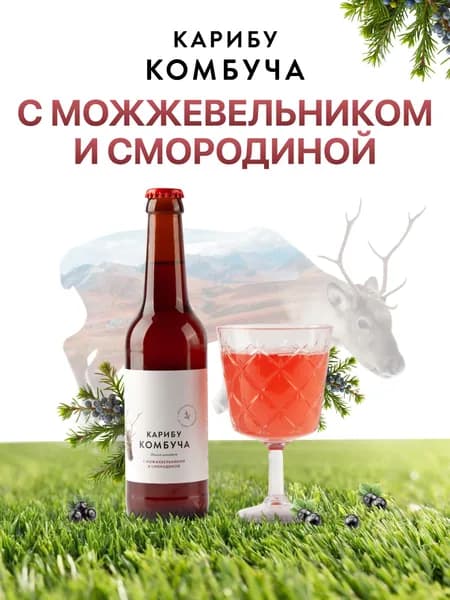 Карибу Комбуча с можжевельником и смородиной, 330 мл