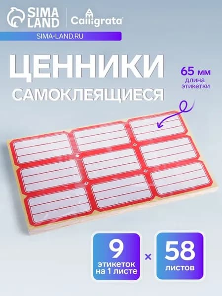 Набор 58 листов ценники самоклеящиеся, 34 х 65 мм