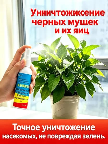Спрей от насекомых на комнатных растениях, цветах, от тли, паутинного клеща, белокрылки, 60мл