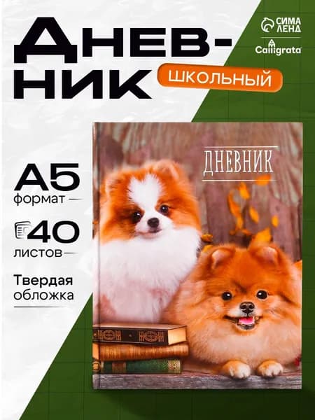 Дневник школьный 1-11 класс