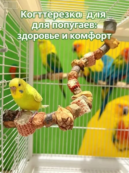 Игрушка-лестница для попугаев, деревянная жердочка для точения клюва и когтей, аксессуар для клетки