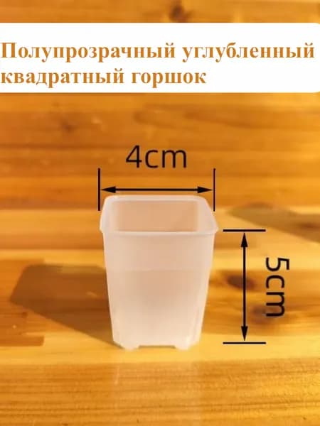 Вазон 5 см, 10 шт, цвет прозрачный