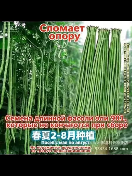 Набор для выращивания однолетников, 10 г