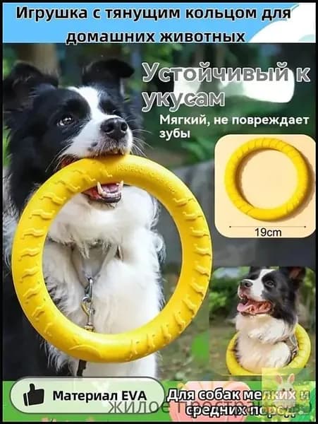 Игрушка с тянущим кольцом для домашних животных игрушки для собак/интерактивная_игрушка_для_собак