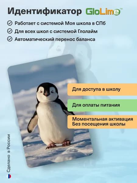 Интерактивная карта школьника "ПИНГВИНЧИК" (светящаяся с диодами)