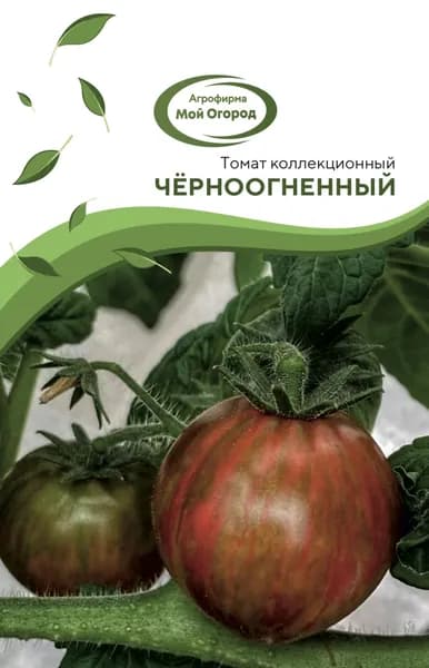 Томат ЧЁРНООГНЕННЫЙ декоративный коллекционный семена 5 шт