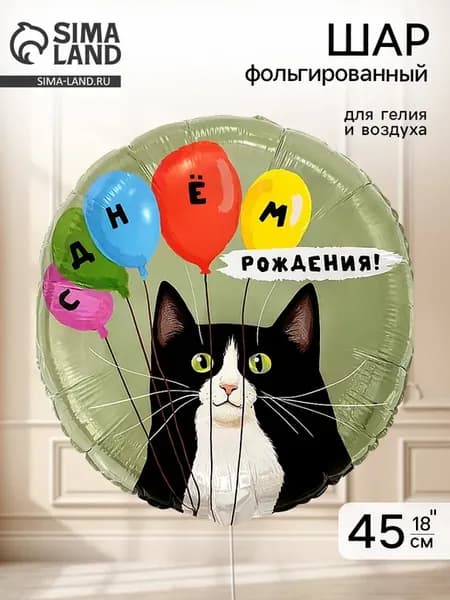 Воздушный шар фольгированный Кот и воздушные шары